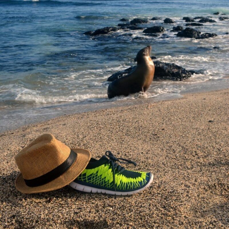 ironman 21k 15k 10k Calzado casual fashion made in ecuador mango zara massimo dutty bershka inditex tommy hilfiger hugo boss payless blash zapatilla zapatos saldo promocion descuento waterproof goretex salomon ecuador quito explorer tatoo tattoo loop zapatos montaña media montañismo senderismo hiking promo merrell running gym gimnasio adidas asics nike puma marcas textil elastico ortopedia ortopedico boost negro flex