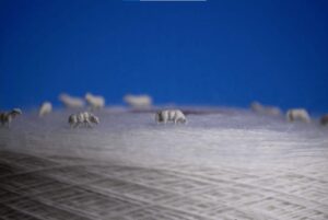 lana merino calcetines medias mund socks cuidado