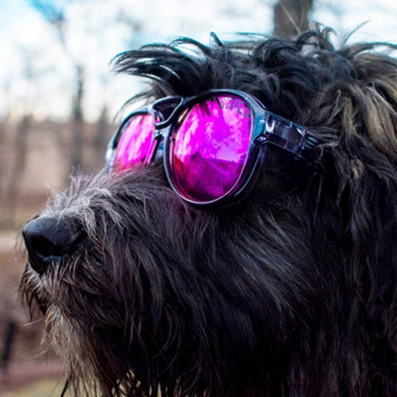 The Smoke Show Polarized | PIT VIPER