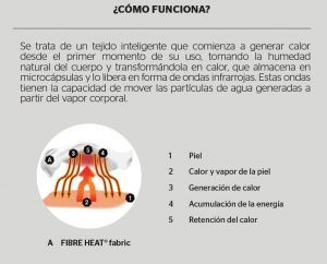LOTHSE que es como funciona (1)