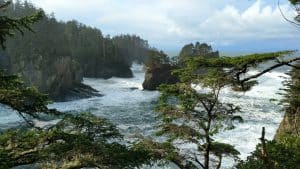 olympic-national-park-off-season-day-hikes-olympic-peninsula (1)