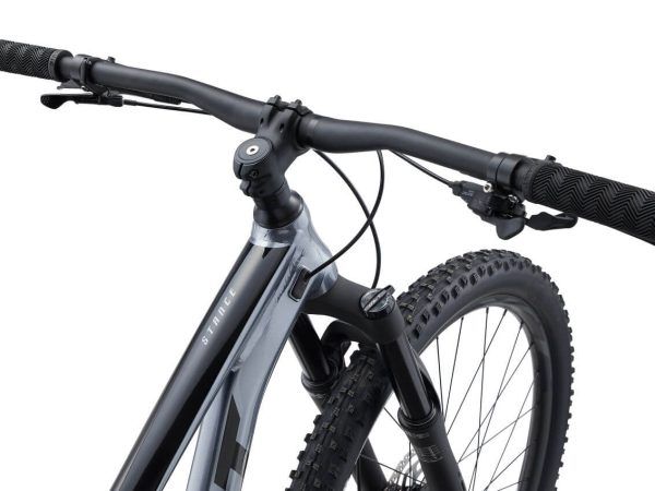 BICICLETA GIANT STANCE 2 29" | Plata